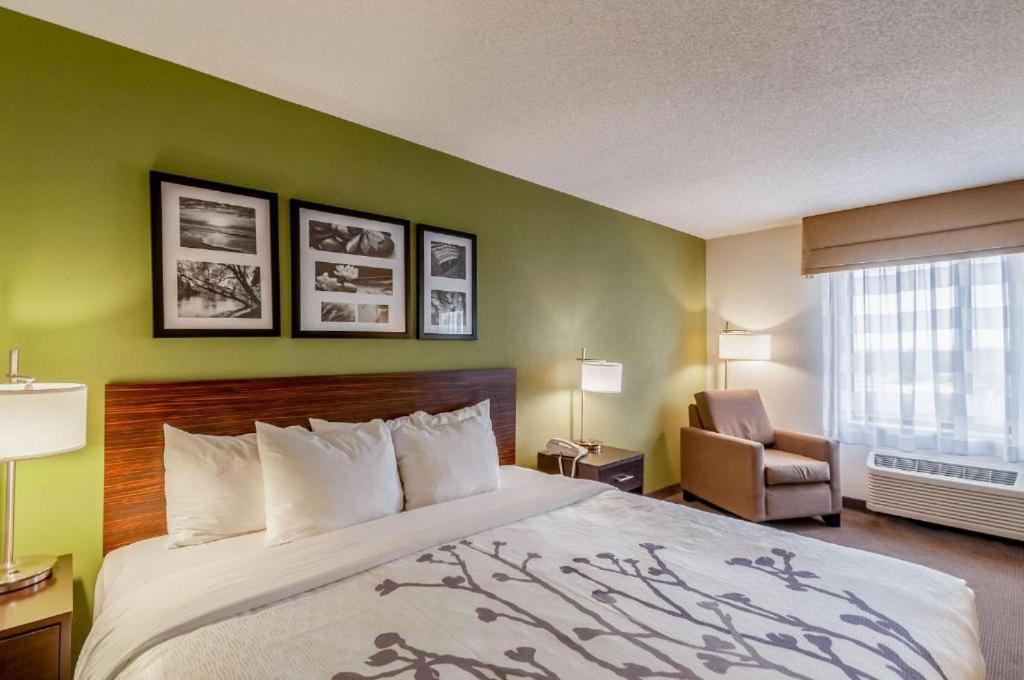Sleep Inn & Suites Harrisonburg Near University מראה חיצוני תמונה