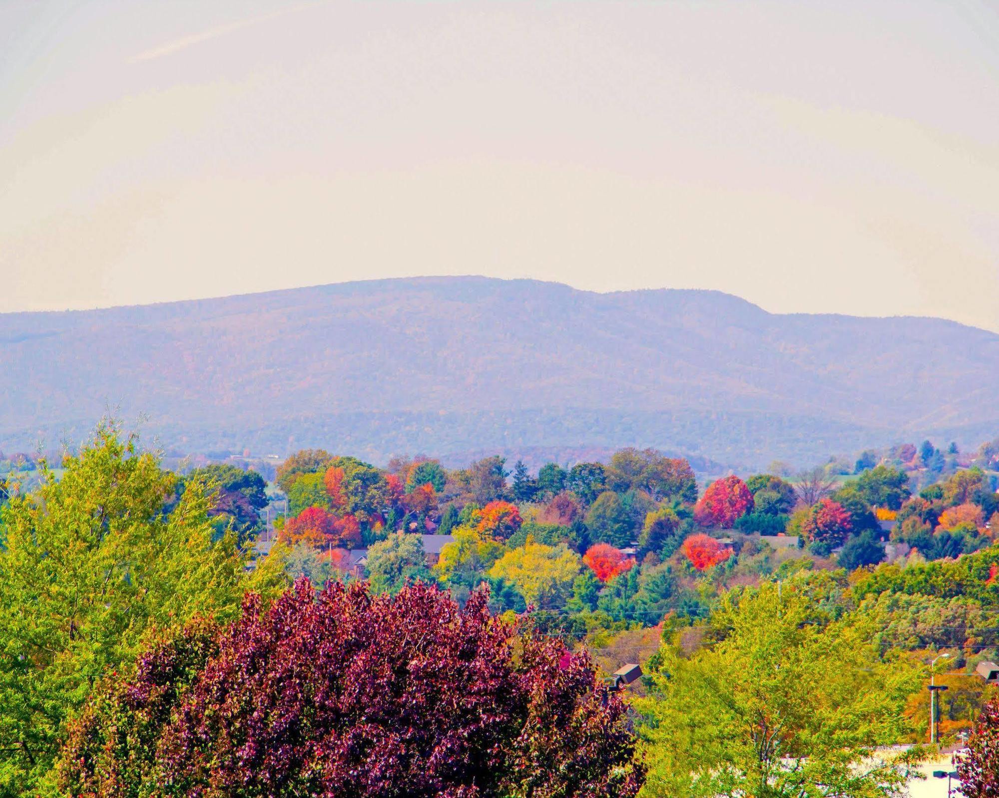 Sleep Inn & Suites Harrisonburg Near University מראה חיצוני תמונה